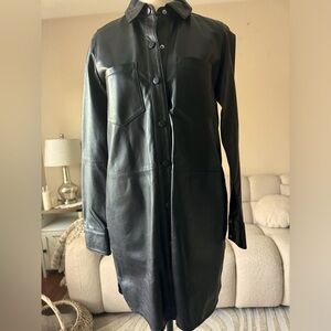 Zara Leather Dress